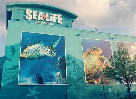 Sea life aquarium auburn hills - SEA LIFE Michigan Aquarium: Salt Life In Michigan - See 634 traveler reviews, 321 candid photos, and great deals for Auburn Hills, MI, at Tripadvisor.
